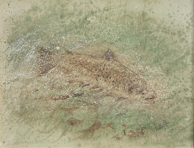 Großes Aquarell Angeln, Bachforelle von Jonathan Poole