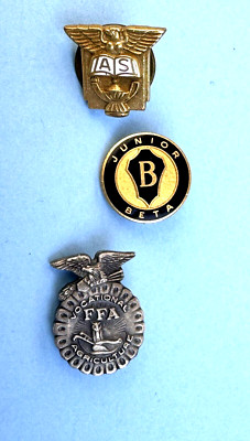 3 Vintage Education Themed Pins FFA, Junior Beta, 