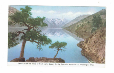 Fresh Water Lake Chelan Cascade Mountains #WA #Postcard