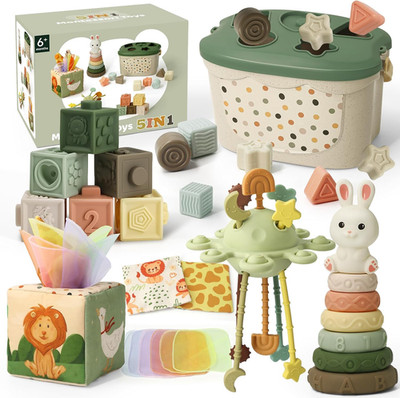 Montessori Spielzeug Baby Ab 6 Monate, 5 in 1 Baby Spielzeug Ab 7 8 9 Monate Mit