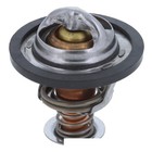 American Motorhome RV Workhorse 8.1 Vortec Engine Thermostat 13899