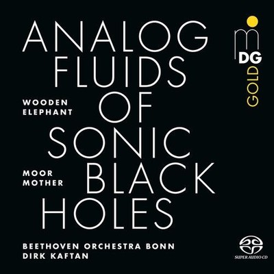Audio Cd Moor Mother - Analog Fluids Of Sonic Black Holes