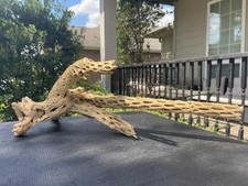 CHOLLA WOOD AQUARIUMS FISH RIPTILES DECOR PET SUPPLIES ART GARDEN AQUASCAPING