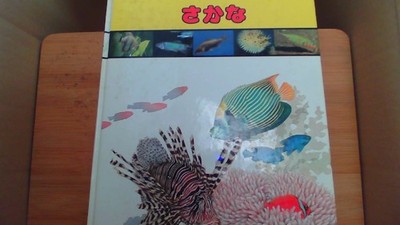 Gakken Educational Picture Encyclopedia 6: Fish/AAE