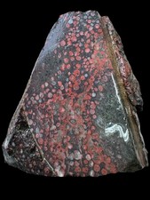 Plum blossom rough stone for lapidary. Unique and rare stone excellent pattern