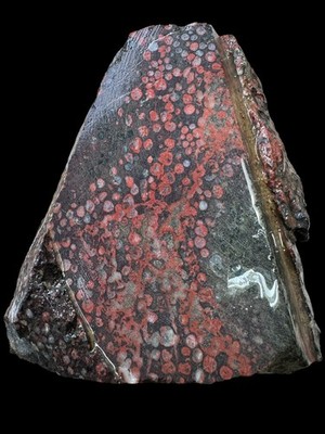 Plum blossom rough stone for lapidary. Unique and rare stone excellent pattern 