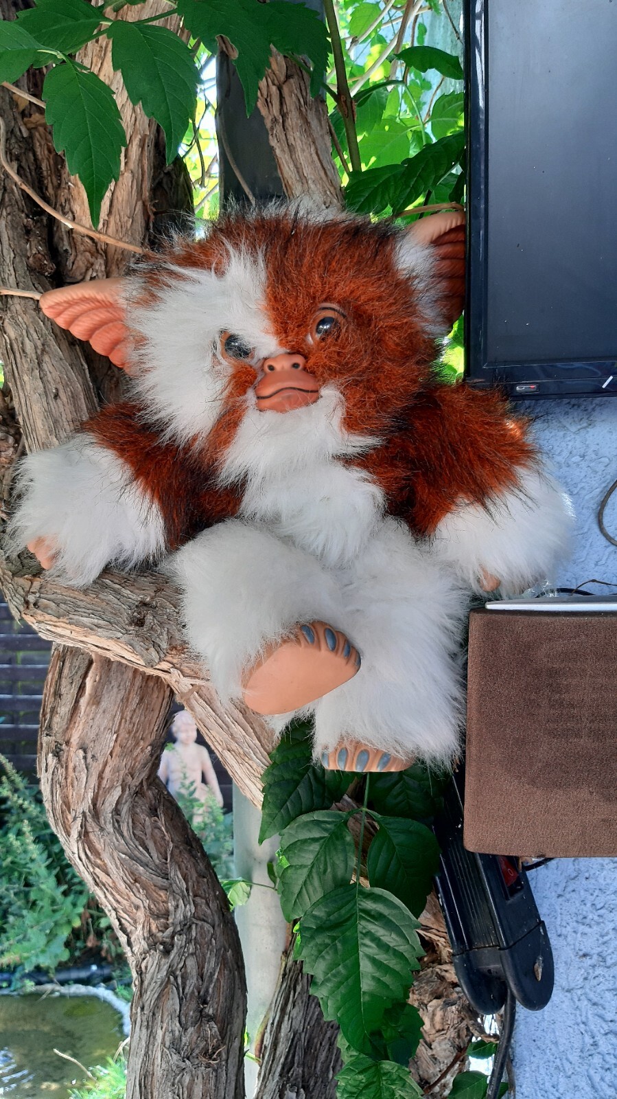Picture 2 of 2