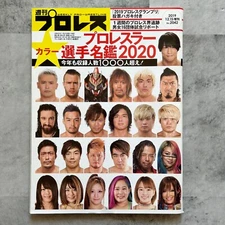 Weekly Pro Wrestling magazine No.2042 2019 Japanese magazine Japan