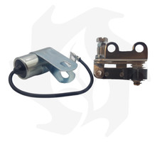 PUNTINE PLATINATE+CONDENSATORE MOTORE LOMBARDINI LA205-250-300 BG 002207-14-033