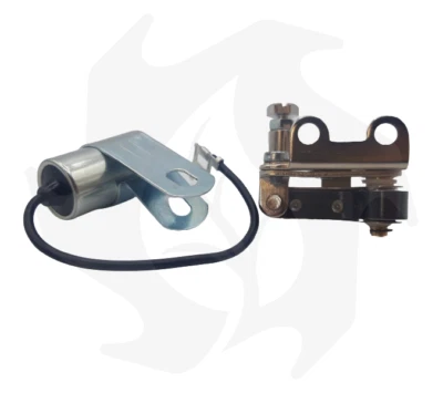 PUNTINE PLATINATE+CONDENSATORE MOTORE LOMBARDINI LA205-250-300 BG 002207-14-033