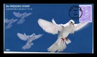 DR JIM STAMPS US COVER WEDDING DOVES FIRST DAY ISSUE ALL OVER BGC