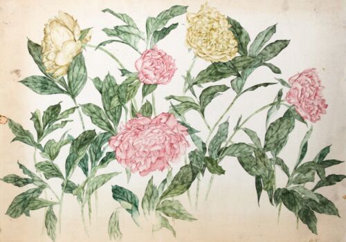 Carl Bergman, rosa und gelbe Chrysanthemen, Aquarell auf Bögen - Bild 1 von 4