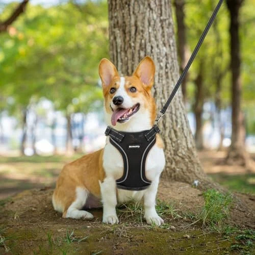 Dog Harness, Easy to Put on with 3 Buckles, No Pull Dog Vest, S Black