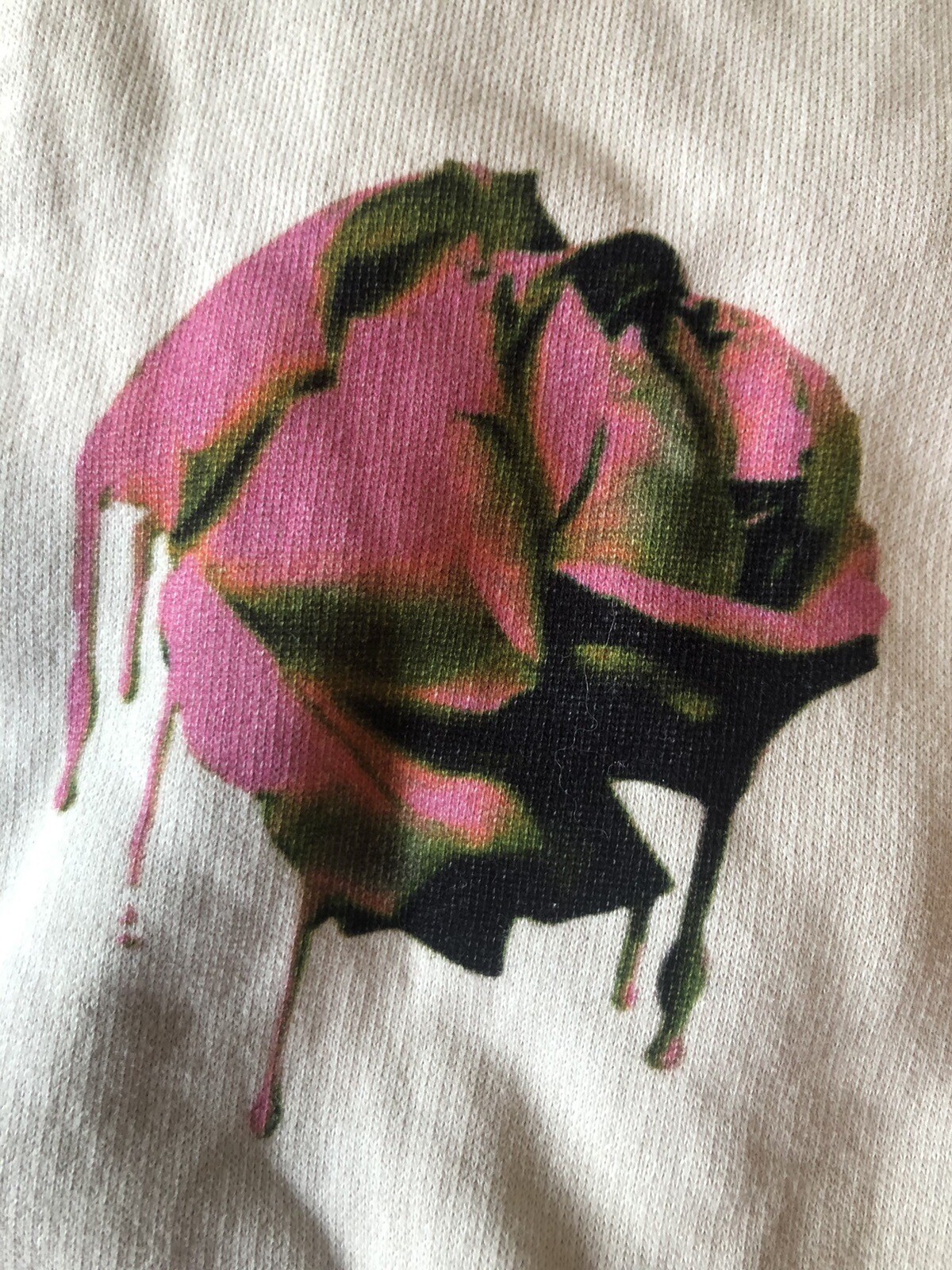 Picture 2 of 12