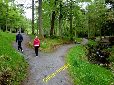 Foto 12x8 Wege, Gortin Glens Park Lislap Mama und Papa gehen in eine Richtung, Kind c2013