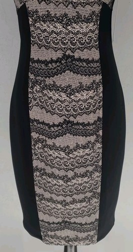 Größe 6 Boston Proper zweifarbig schwarz elfenbein Mini Bodycon Bleistiftkleid Kunstspitze - Bild 3 von 8