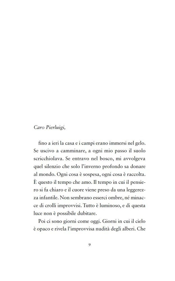 Susanna Tamaro Il tuo sguardo illumina il mondo (Paperback) - Image 4 of 4