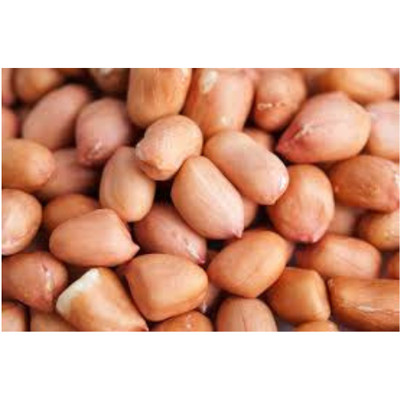 Sri Lanka frische rote Erdnüsse 200g - rohe & ganze Nüsse aus Ceylon   100% rein