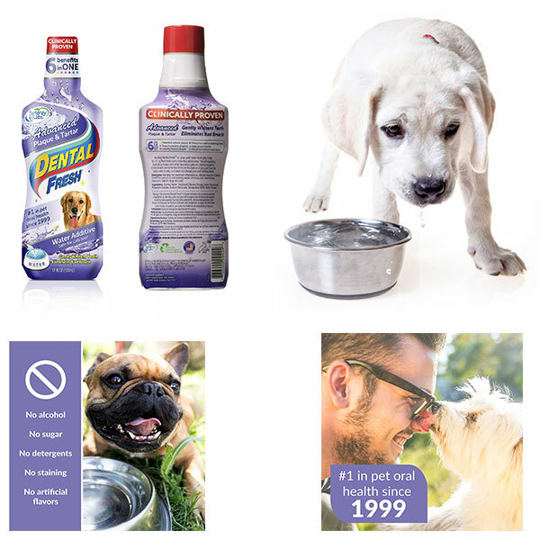 Dental Fresh water additive Oral Care Fresh Breath Anti Plaque Dogs