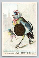 Victorian Trade Card Willimantic Thread Blue Bird Sewing 3" x 4.5"