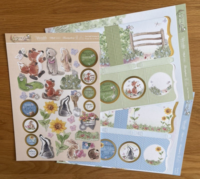 Hunkydory Acorn Wood - Get Well Wishes & Thank You So Much Aperture Card Kits