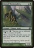 Planar Chaos Citanul Woodreaders MTG Magic the Gathering NM