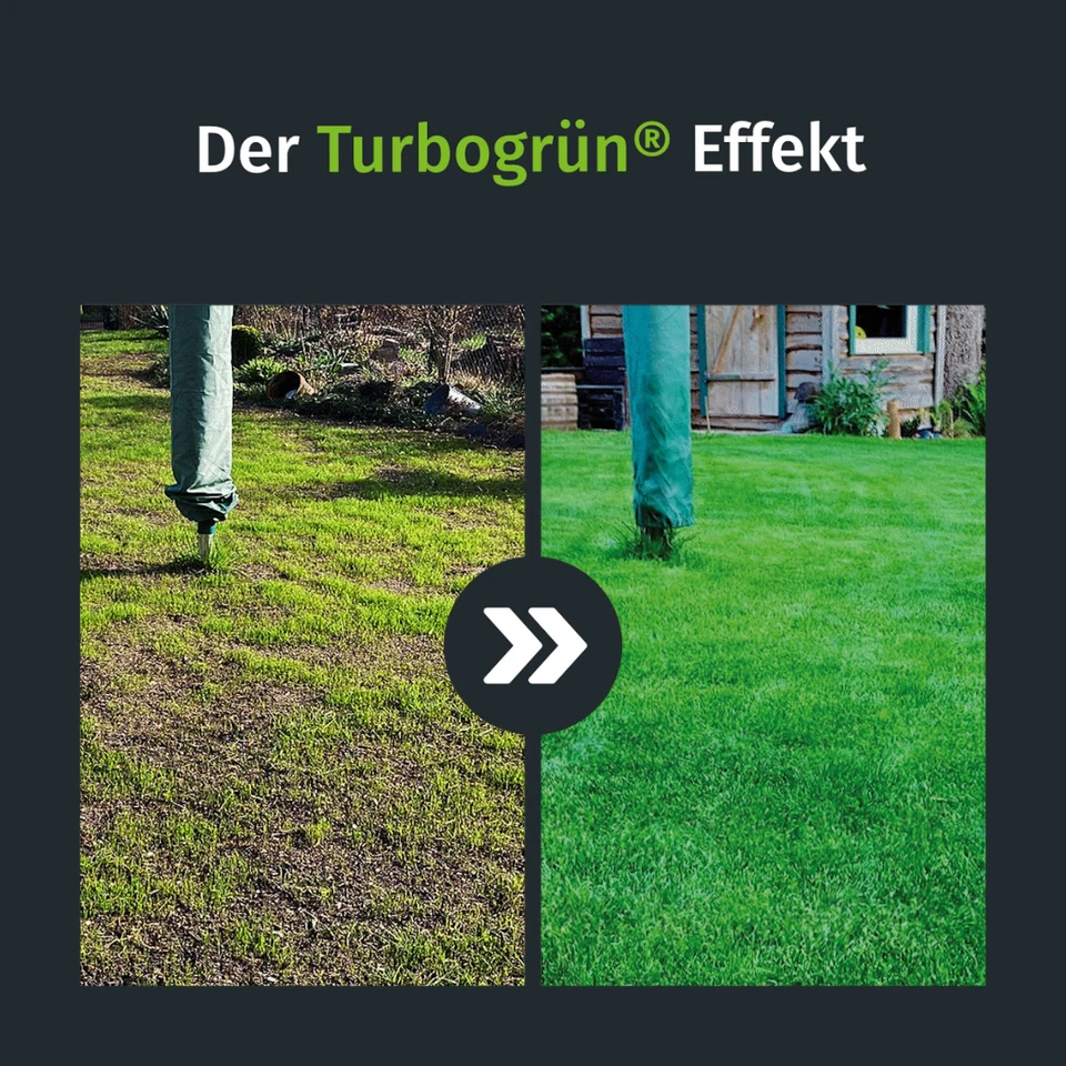 Turbogrün Herbstdünger f. winterfesten Rasen, gegen Moos Rasendünger 20 kg - Bild 2 von 4