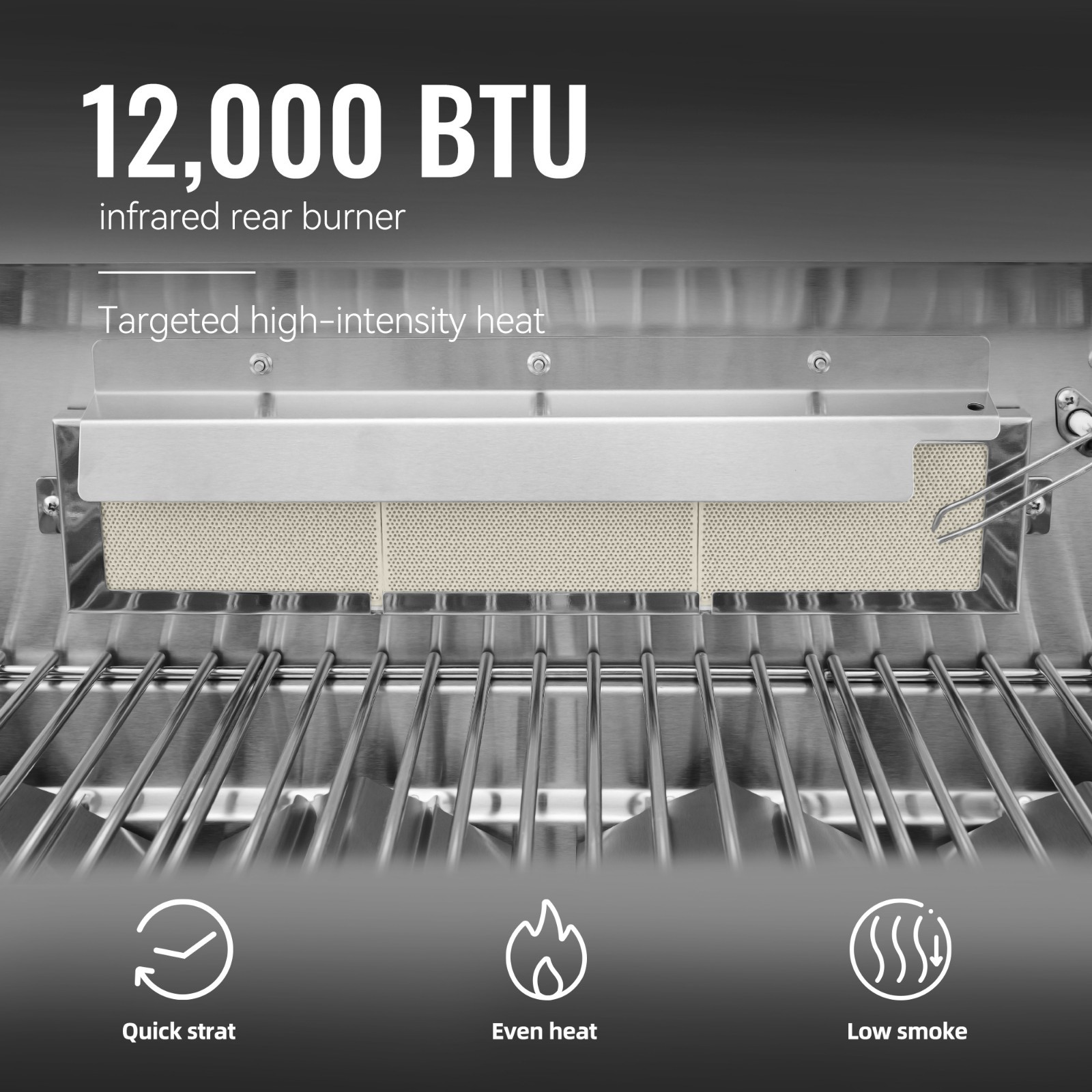 Royal Gourmet Deluxe  6-Burner Gas Grill, 96,000 BTU/Glass View Window,Silver