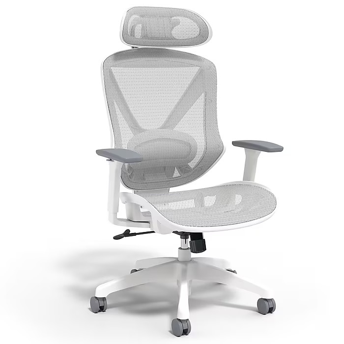 Staples Dexley Ergonomic Mesh Swivel Task Chair, Gray