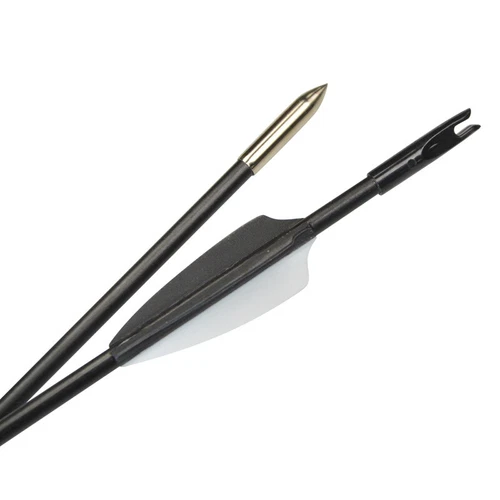 6/12pcs 31" Archery Fiberglass Arrows Target Practice Recurve Bow Hunting - Bild 45 von 49