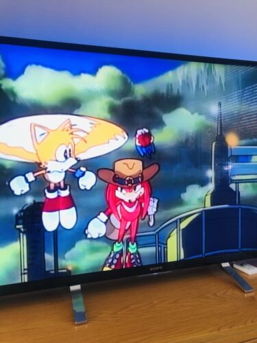 🔥🔥Sonic The Hedgehog The Movie Rare ADV Films Clear Box - Picture 11 of 21