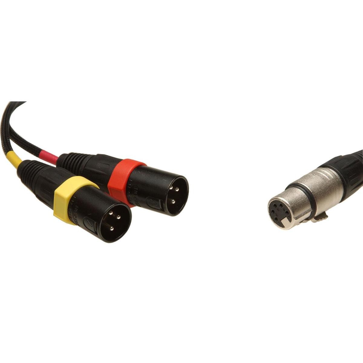 Дистанционный аудио-18 сбалансированный стереокабель с разъемом XLR5F на 2x разъема XLR3M