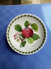 Pomona port meirion Susan Williams - Ciotola da portata Ellis made in England