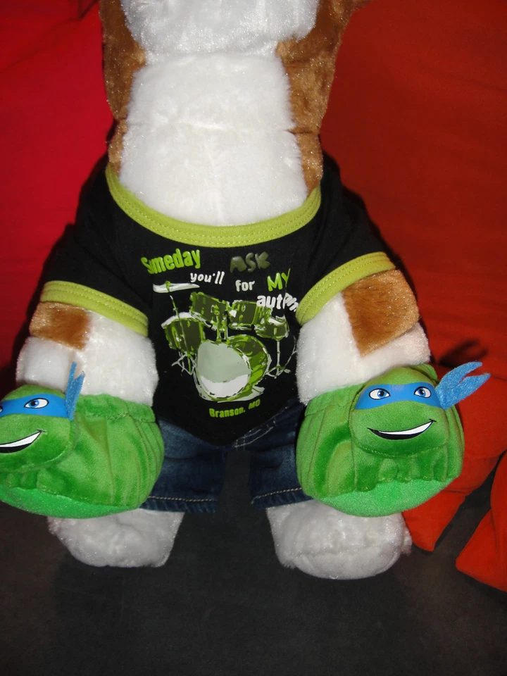 Build-A-Bear Workshop Bär Teddy TeddyBär mit Kleidung !! Dog Hund Dogge Turtles - Bild 2 von 4