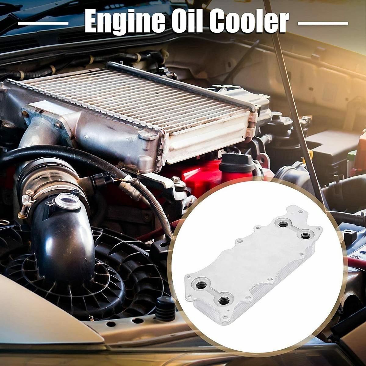 Dichtung Reparatur Satz Inkl + Ölkühler Kit Für Mercedes OM 642 W166 W251 ML320