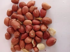 100% Natural Sri Lankan Baked Peanut Seeds Groundnut 100g