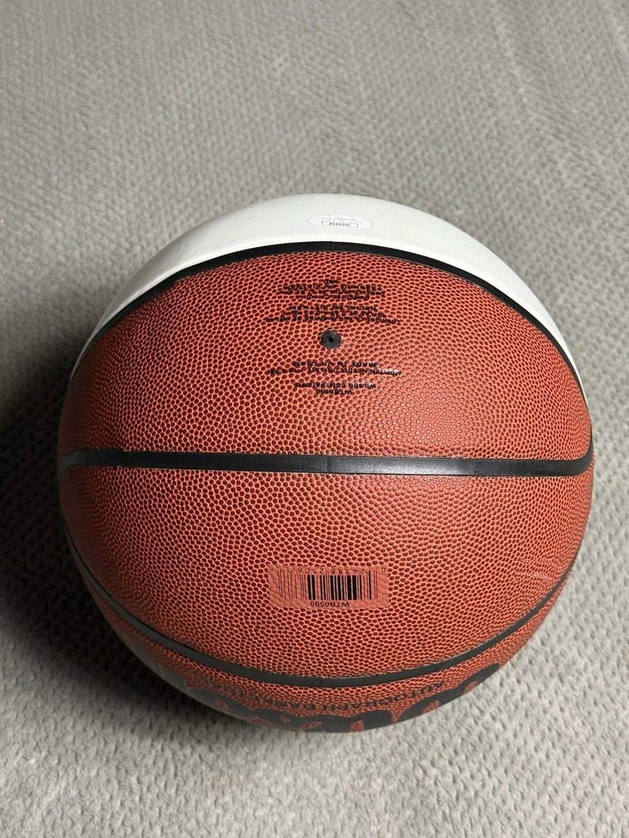 Ray Allen Autographed Signed Wilson White Panel NBA Basketball