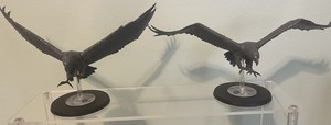 Great Eagles Lord Of The Rings MESBG