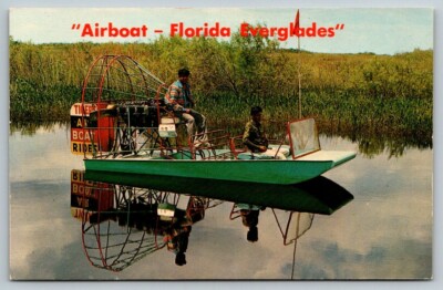 Airboat  Everglades  Florida    Postcard