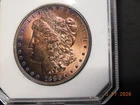 1886 Morgan Silver Dollar MS65 - STUNNING RAINBOW TONING