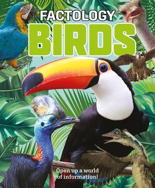 Factology | Birds: Open Up A World Of Information! | Tbd | Englisch | Buch-image