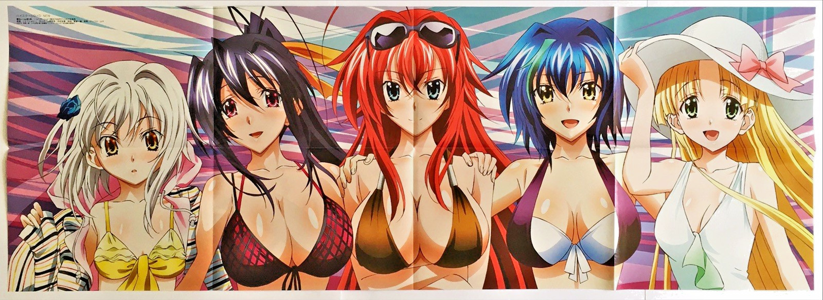 Anime Poster High School DXD & Infinate Stratos Double Sided Large 40.5 x 14.75