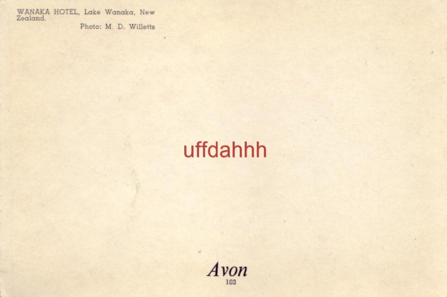 Continentalsize WANAKA HOTEL, LAKE WANAKA, NEW ZEALAND photo by M D