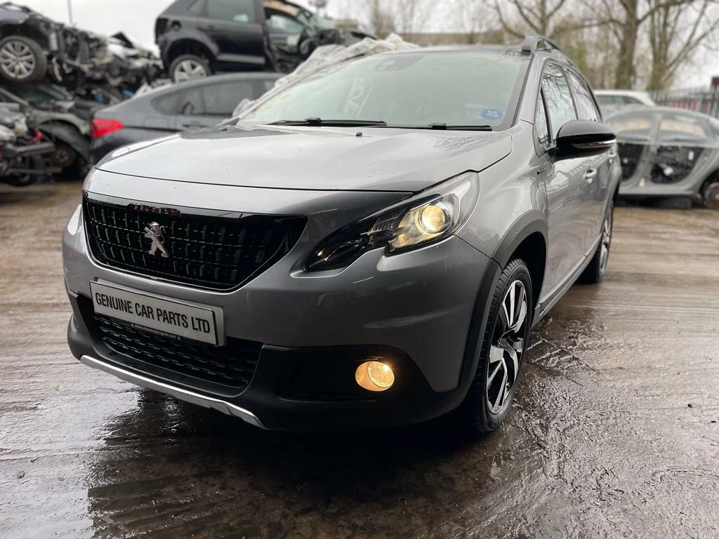 Peugeot 2008 dog hot sale guard