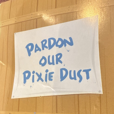 Disney Wilderness Lodge Pardon Our Pixie Dust Mickey Mouse Pin Set