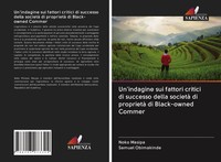 Noko Masipa (U. A.) | Un'indagine Sui Fattori Critici Di Successo Della...
