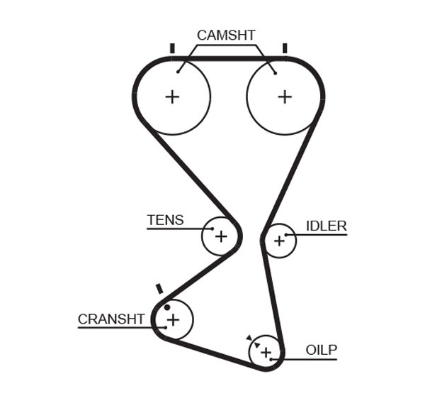 GATES-OE 5556XS Timing Belt for HYUNDAI,KIA