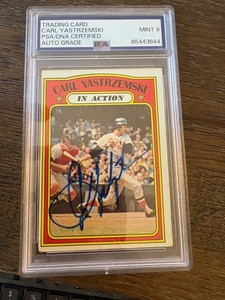 shimmy9 on eBay