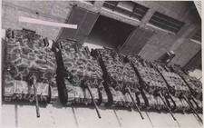 2.WK Foto Panzer Ansaldo Mit Balkan Kreuz M 102/24 "Bassotto" Milano  1944 RAR
