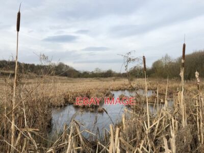 FOTO FERRYHILL CARRS LOKALES NATURSCHUTZGEBIET DAS LOKALE NATURSCHUTZGEBIET LIEGT AN DER